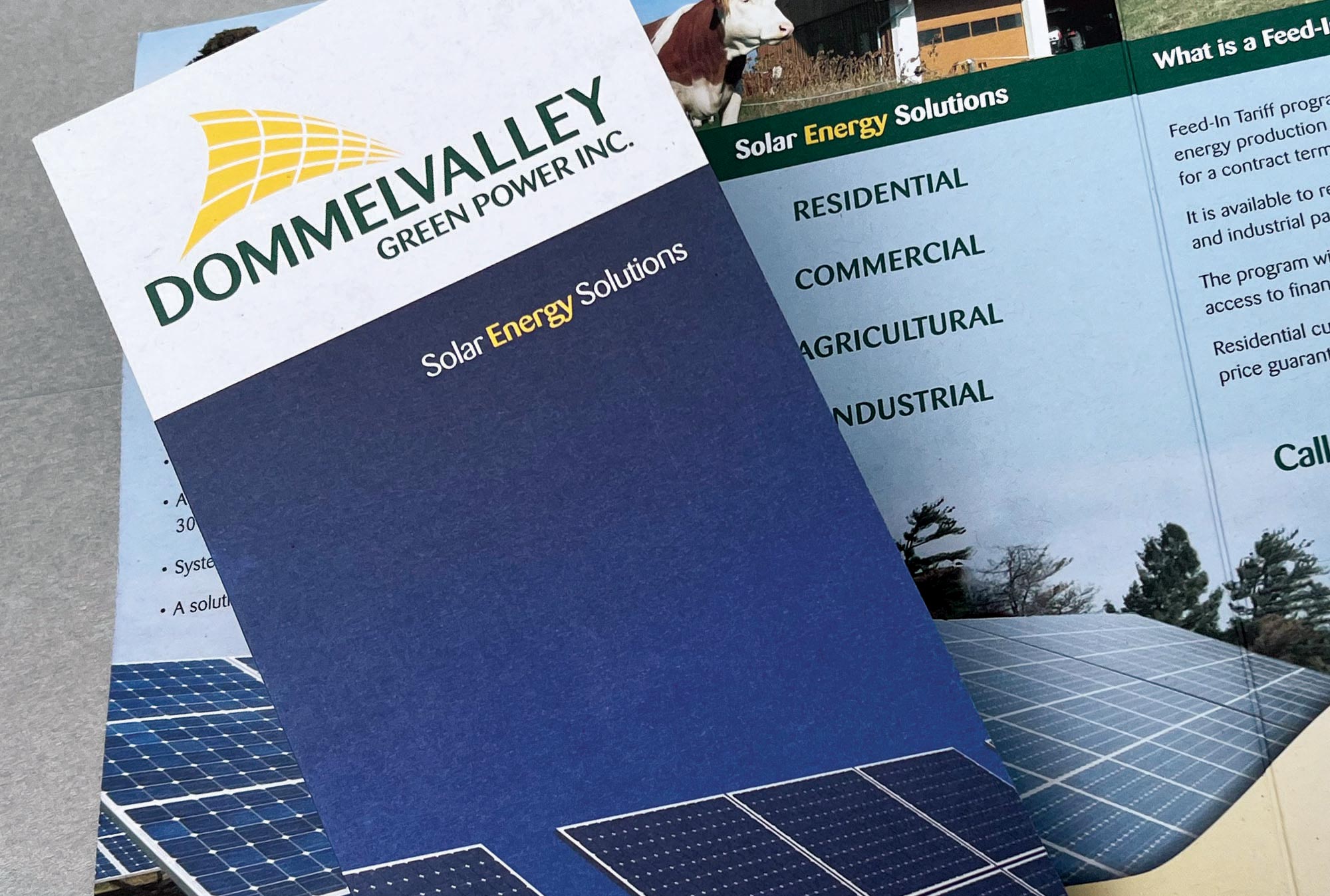brochure-design-designer-layout-services