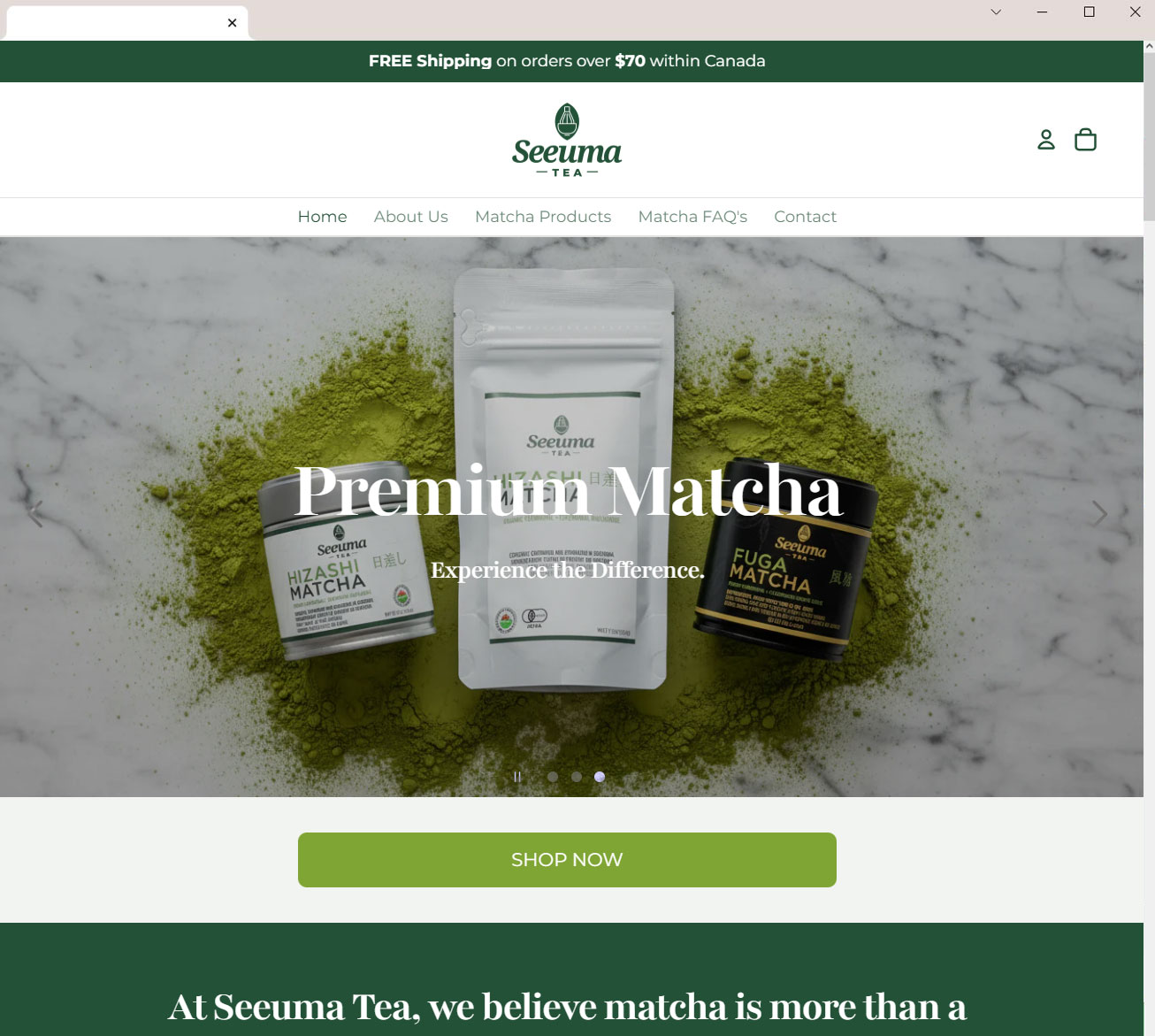 Website-Design-Development-Shopify-Setup-Programming